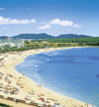 allsun App.-Hotel Orient Beach