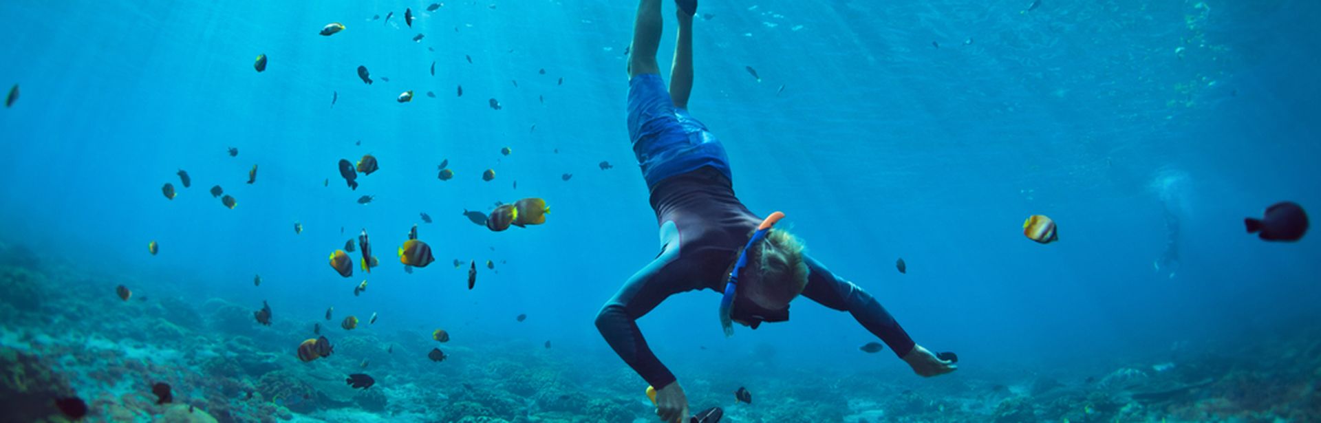 Eine Taucherin auf dem Weg zum Boden, um sie herum schwimmen Fische