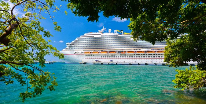 Ein Kreuzfahrtschiff wird durch Äste eines Baumes sichtbar