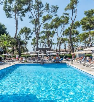 Hotel Riu Festival
