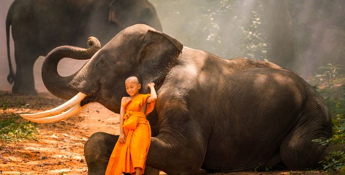 Thailand, Bangkok, Koh Thao, Koh Phangan, Koh Samui - persönlicher Reisebericht 