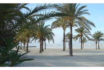 TUI Last Minute Sale Strandurlaub