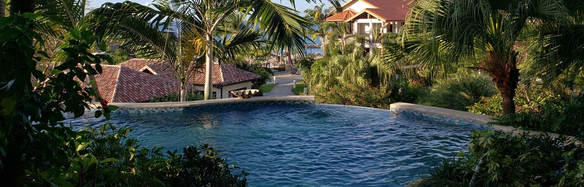 Privater Pool umgeben von Palmen