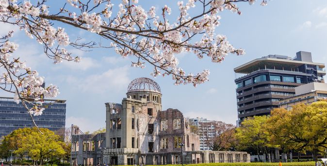 Ein Ast eines Kirschblütenbaumes in Japan, im Hintergrund sieht man Gebäude von Tokio