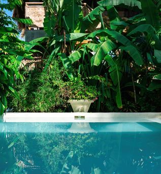 Ein privater Pool umgeben von Pflanzen