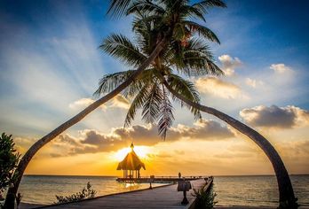 Canareef Resort Maldives