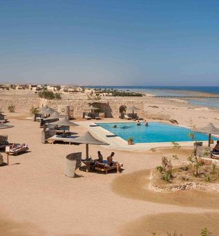 The Oasis