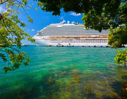 Ein Kreuzfahrtschiff wird durch Äste eines Baumes sichtbar