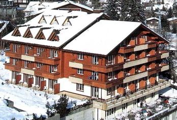 Hotel Steinmattli