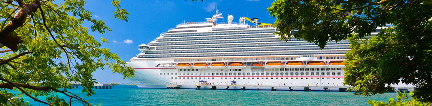 Ein Kreuzfahrtschiff wird durch Äste eines Baumes sichtbar