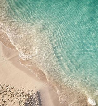 The Ocean Club Bahamas