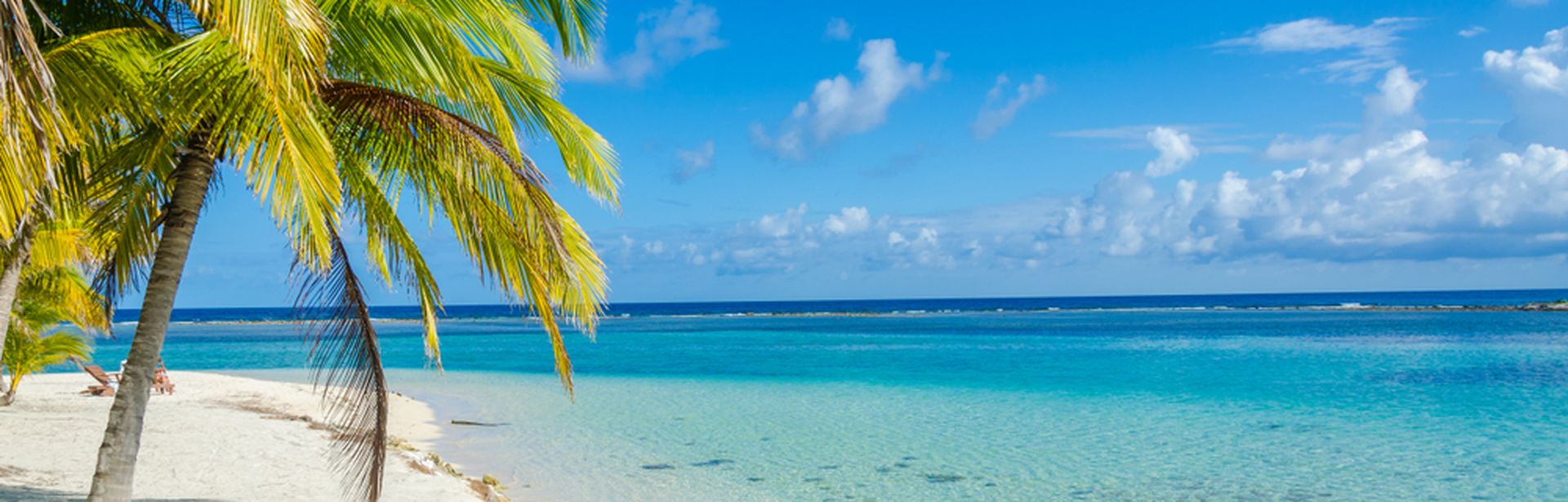 Sandstrand am blauen Meer mit einer Palme