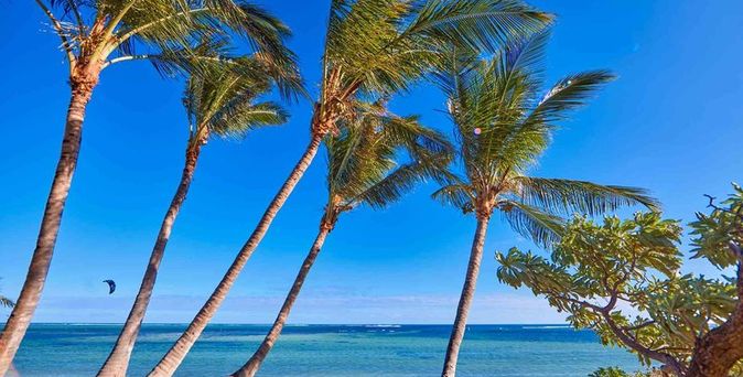 Hotel Riu Turquoise