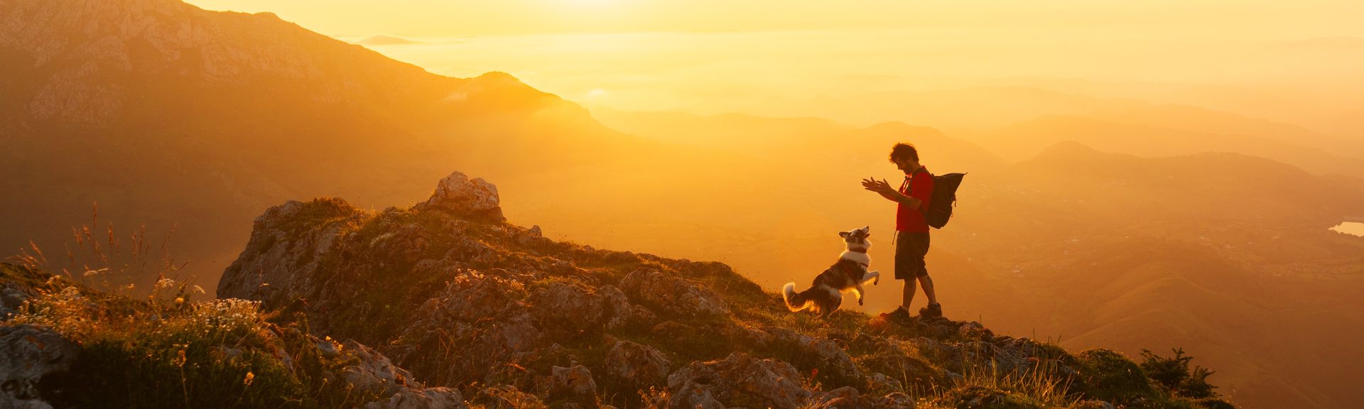 Mann und Hund wandern zusammen in den Bergen bei Sonnenuntergang