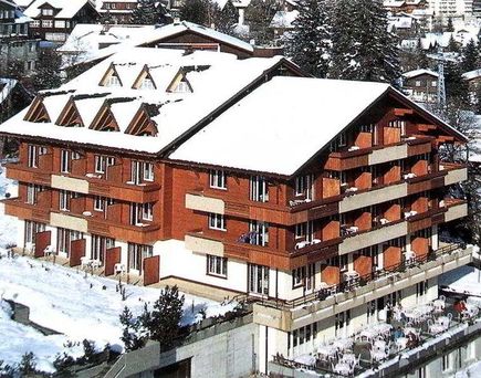 Hotel Steinmattli