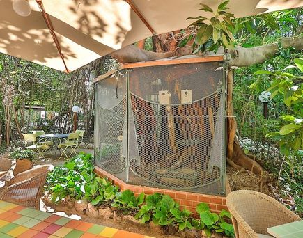 Le Windsor, Jungle Art Hotel