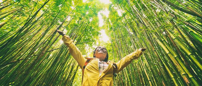 Glückliche Frau in gelber Regenjacke steht in einem Grünen Wald und schaut nach oben