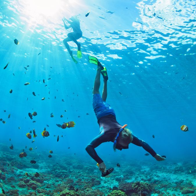 Eine Taucherin auf dem Weg zum Boden, um sie herum schwimmen Fische