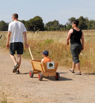 Protur Badía Park Aparthotel