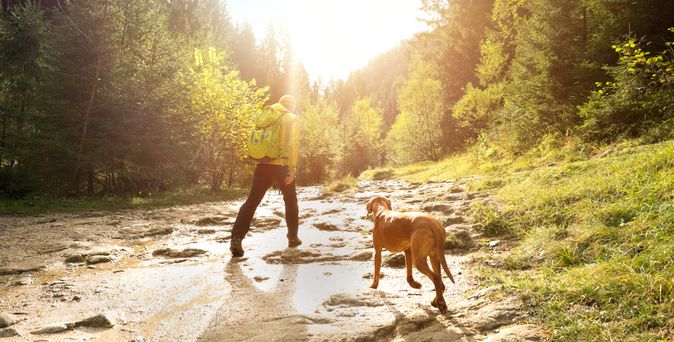 Ein Mann und ein Hund wandern auf einem Hügel der Sonne entgegen