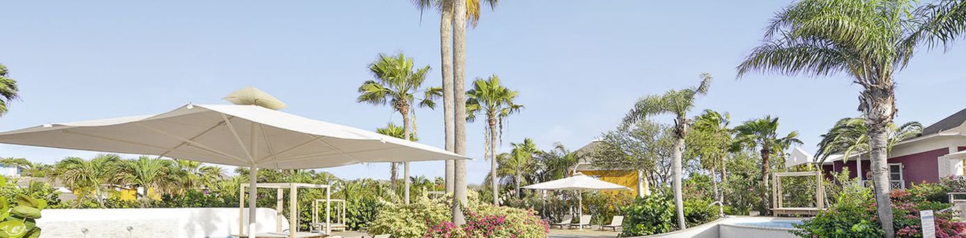 Chogogo Dive & Beach Resort Curaçao