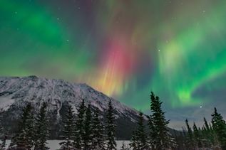 Polarlichter vor einer verschneiten Landschaft