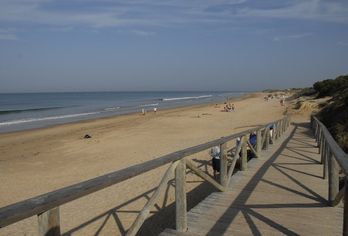 Playaballena