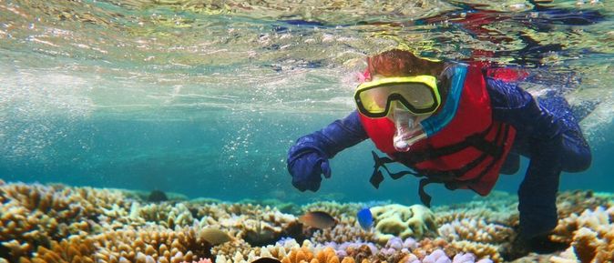 Taucher mit Schnorchel zeigt auf Fische in einem Korallenriff