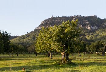 Sant Salvador Hostatgeria