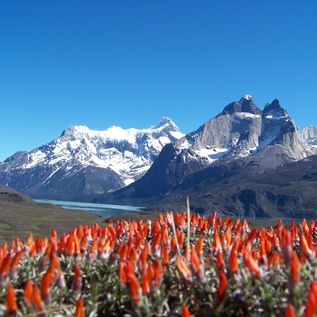 Chile - Torres Del Paine