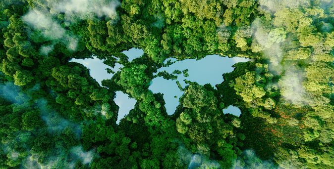 Ein Wald von oben, Wasser bildet die Kontinente der Welt