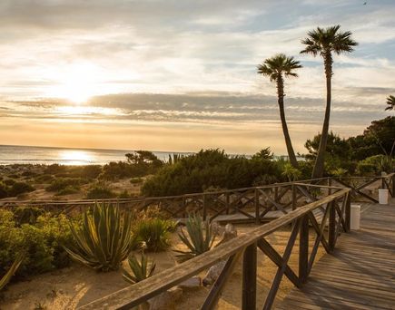 Iberostar Waves Royal Andalus