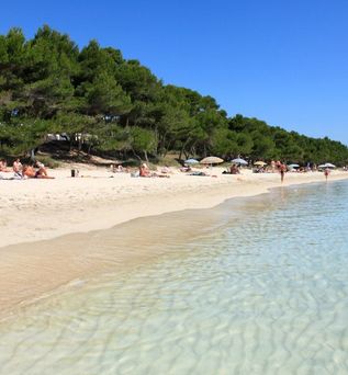 Club Mac Alcudia