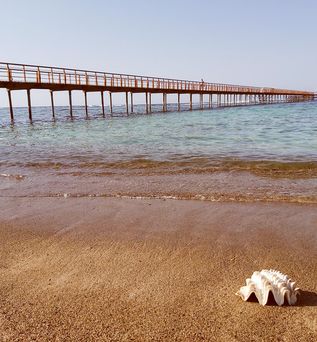 Lazuli Hotel Marsa Alam