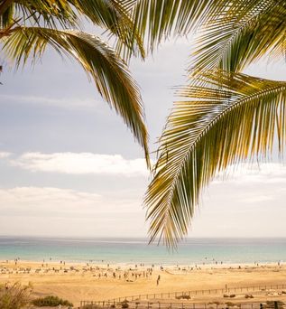 Iberostar Selection Fuerteventura Palace