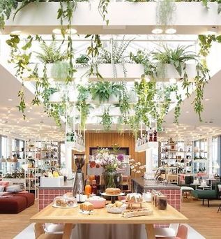 Zoku Vienna