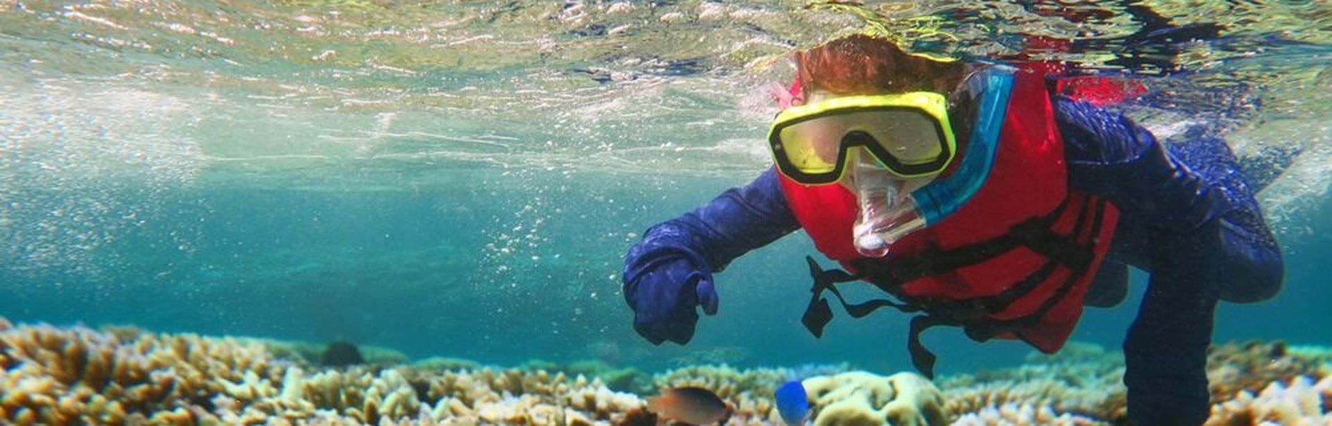 Taucher mit Schnorchel zeigt auf Fische in einem Korallenriff