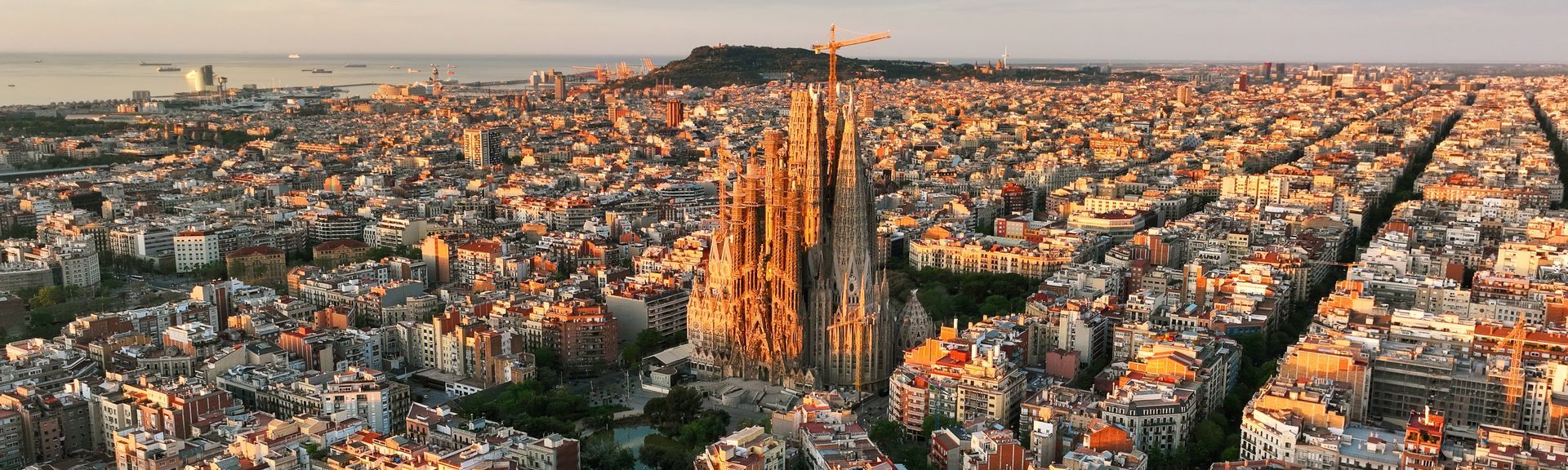 Reiseberatung online buchen