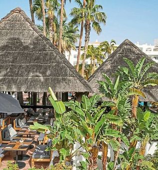 Hyatt Ziva Jardín Tropical Tenerife