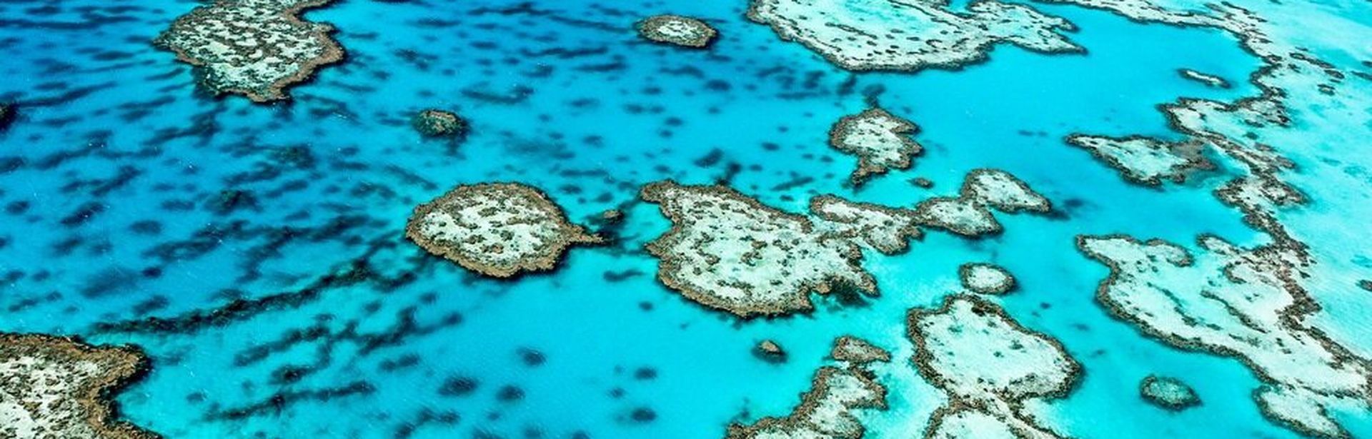 Das Great Barrier Reef von oben