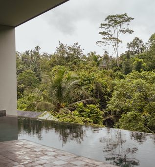 Blick auf einen Swim-up Pool mit Palmen im Hintergrund