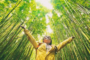Glückliche Frau in gelber Regenjacke steht in einem Grünen Wald und schaut nach oben