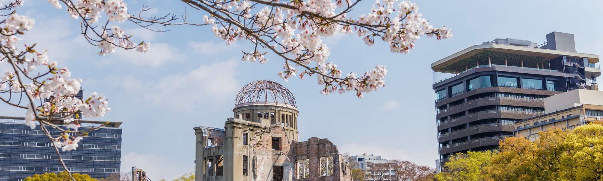Ein Ast eines Kirschblütenbaumes in Japan, im Hintergrund sieht man Gebäude von Tokio