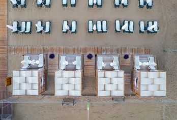 Trendy Verbena Beach