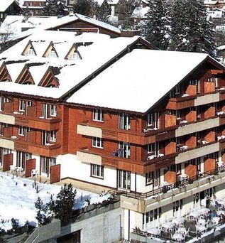 Hotel Steinmattli