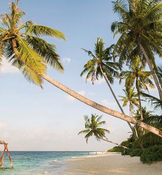Reethi Faru Resort