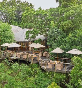 Tsala Treetop Lodge