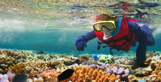 Taucher mit Schnorchel zeigt auf Fische in einem Korallenriff