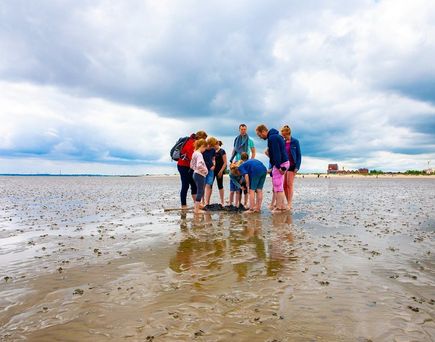 Wangerland Resort