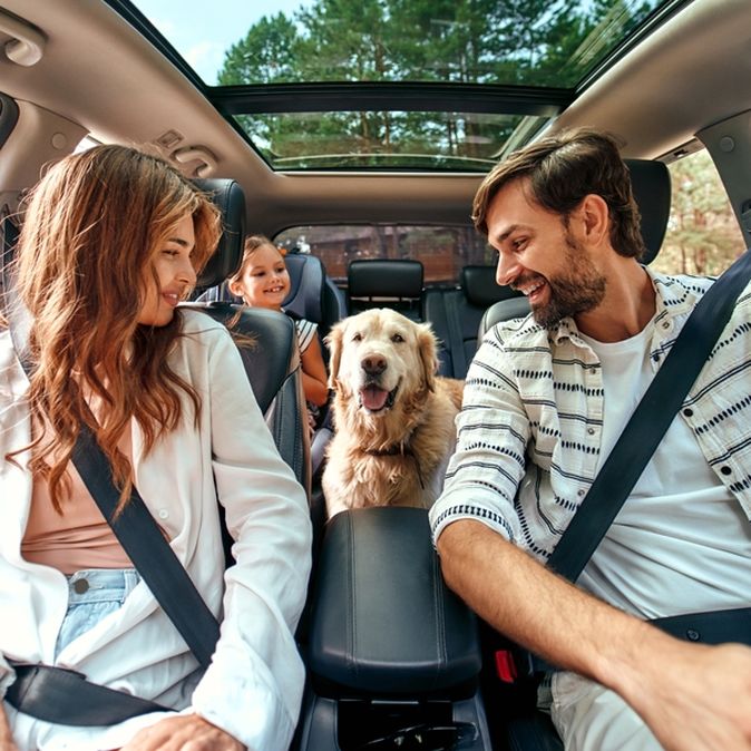 Eine Familie sitzt im Auto, in der Mitte sitzt ein Hund und alle schauen ihn an 